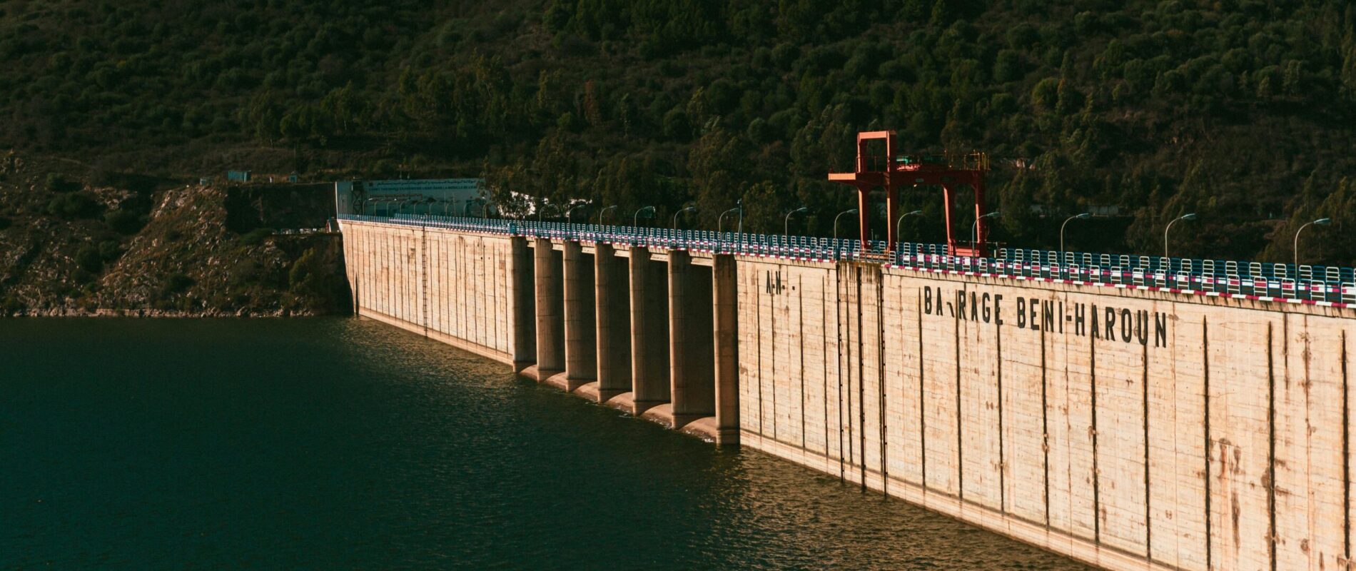 pexels-dhayaeddart-6362267